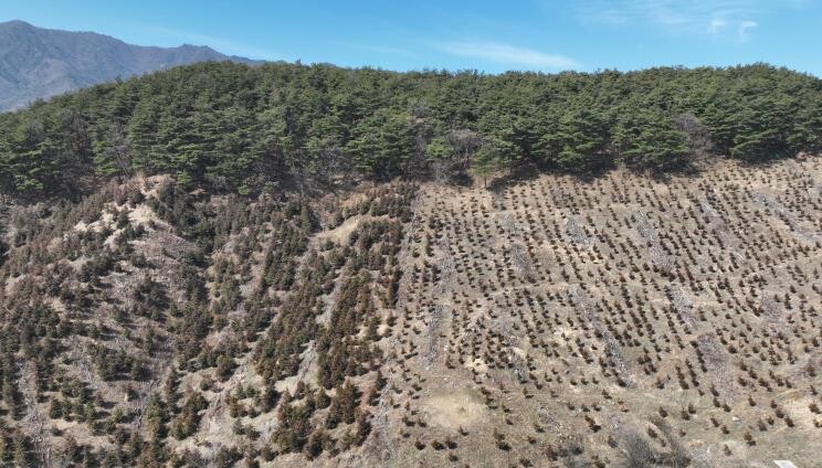 산청군, 경남도 산림자원분야 평가 장...